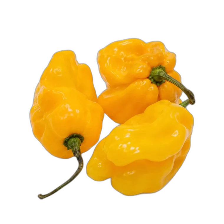 Yellow Habanero